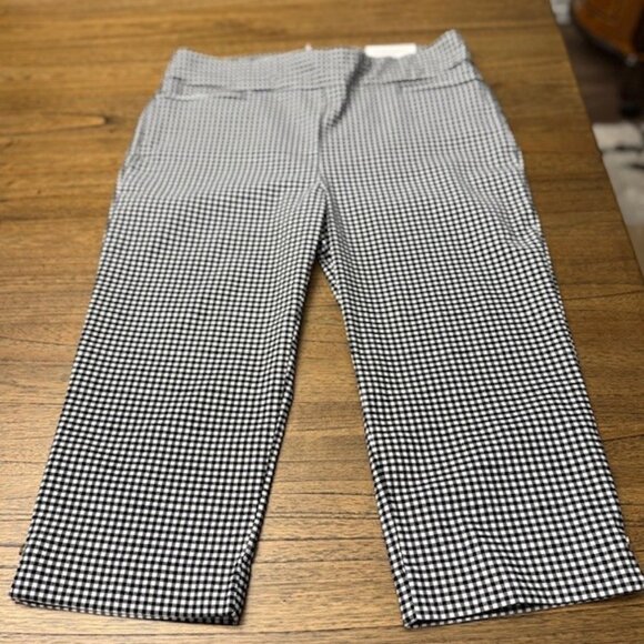 CHICO'S So Slimming Brigitte Slim Leg Capri - Picture 9 of 15